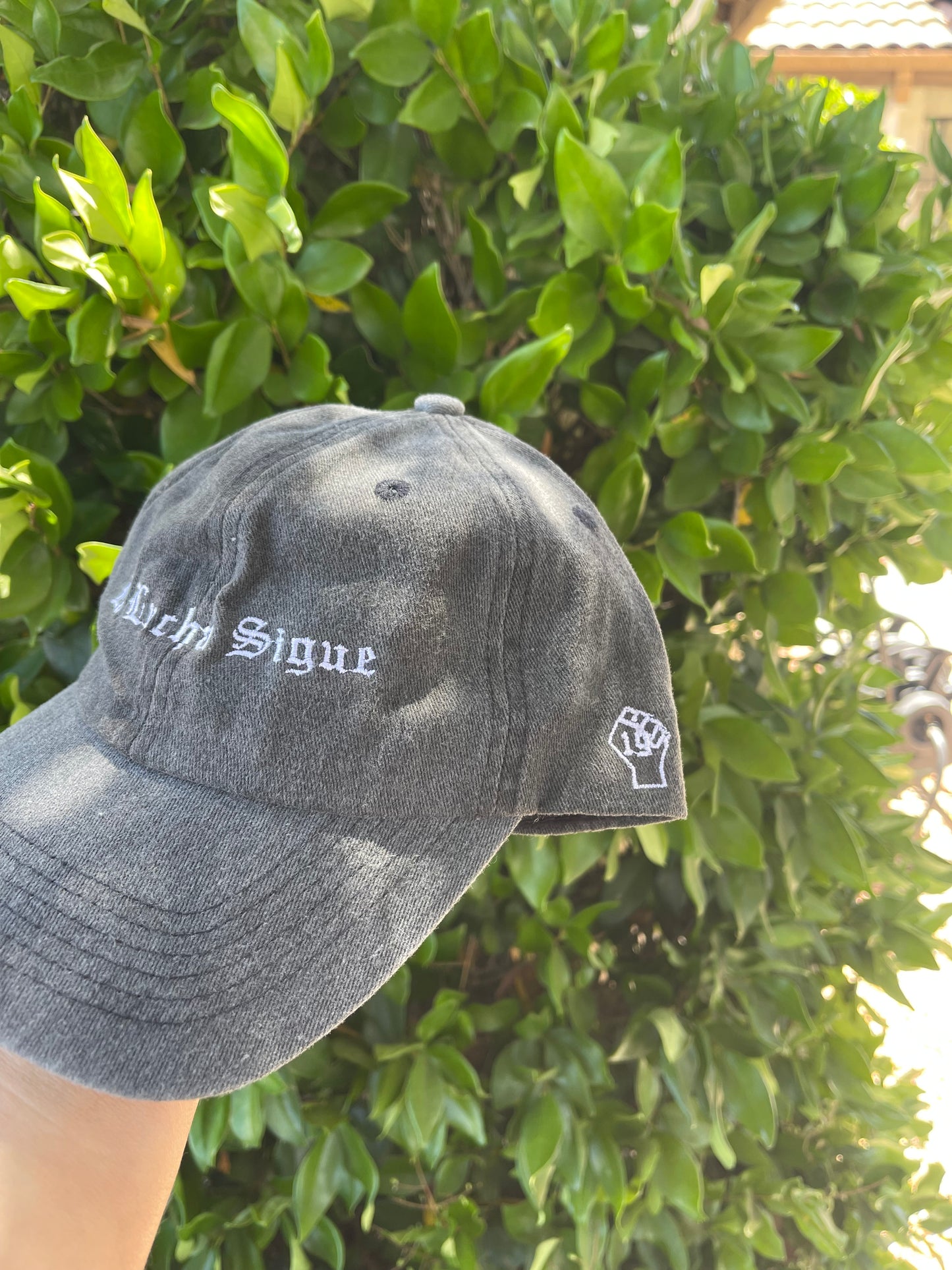 Abolish ICE Hat