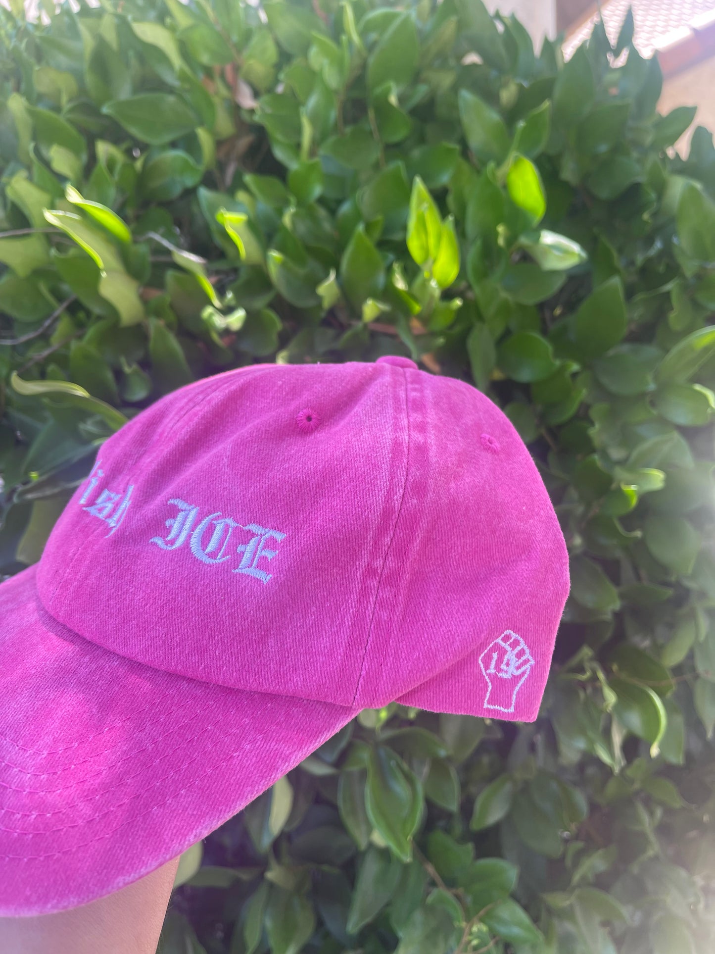 Abolish ICE Hat