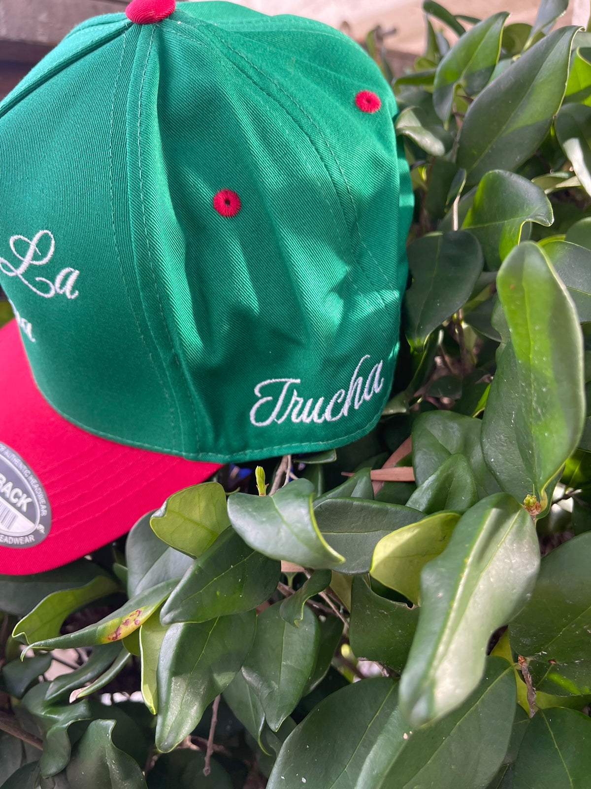 Chinga La Migra SnapBack