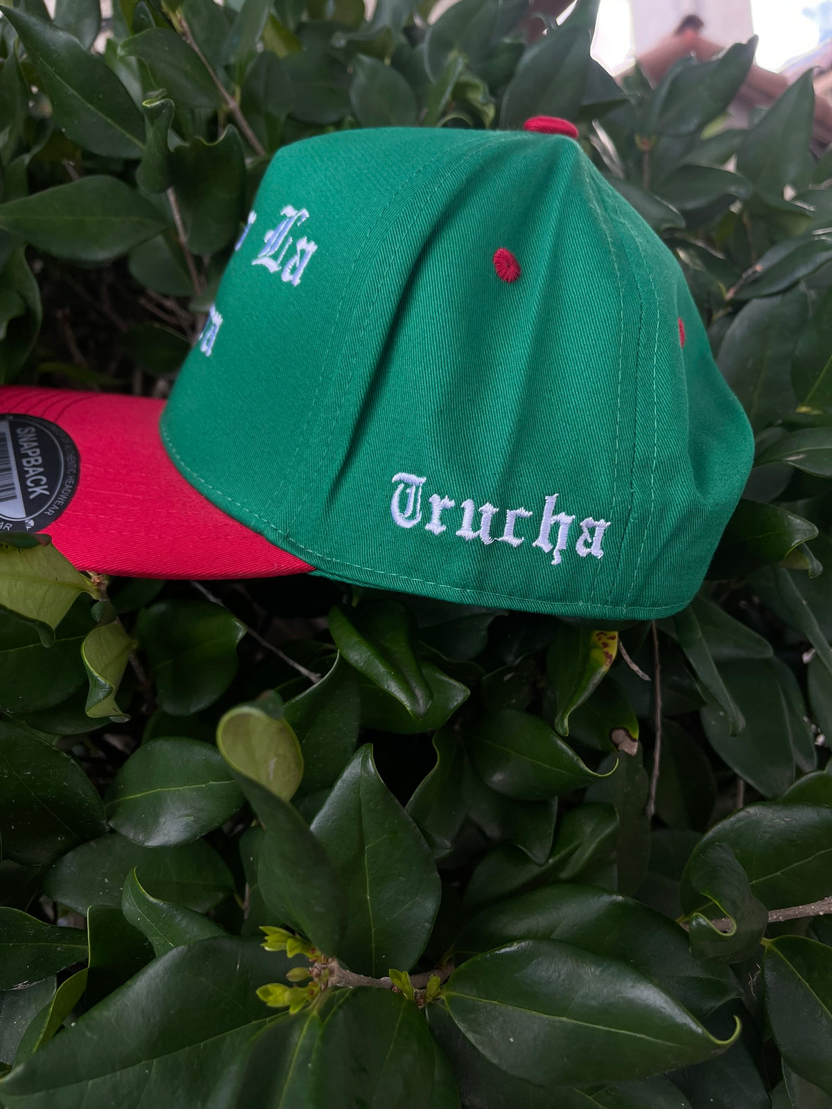 Chinga La Migra SnapBack
