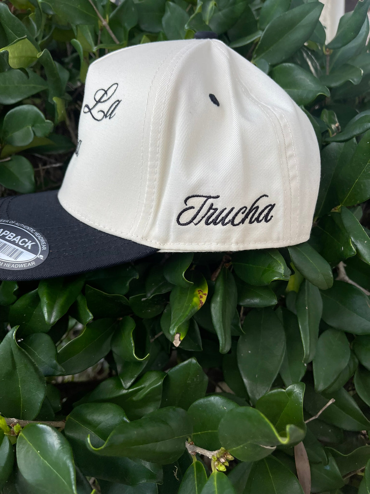 Chinga La Migra SnapBack