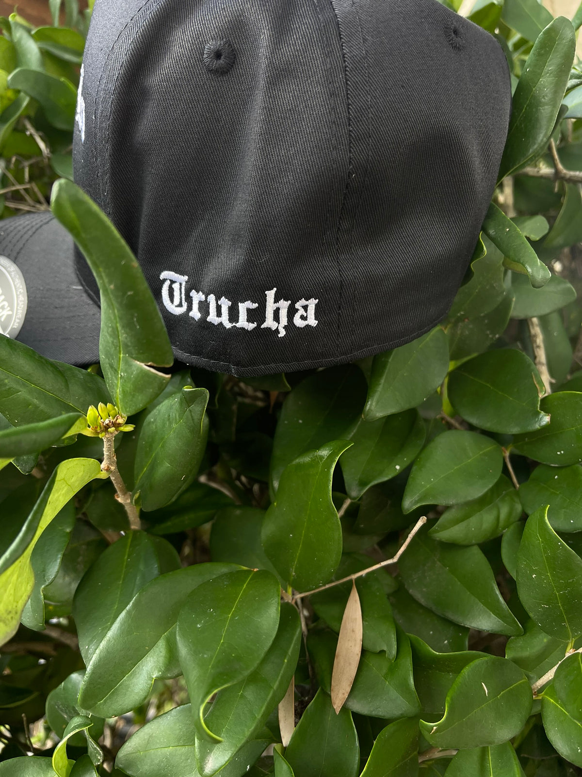 Chinga La Migra SnapBack