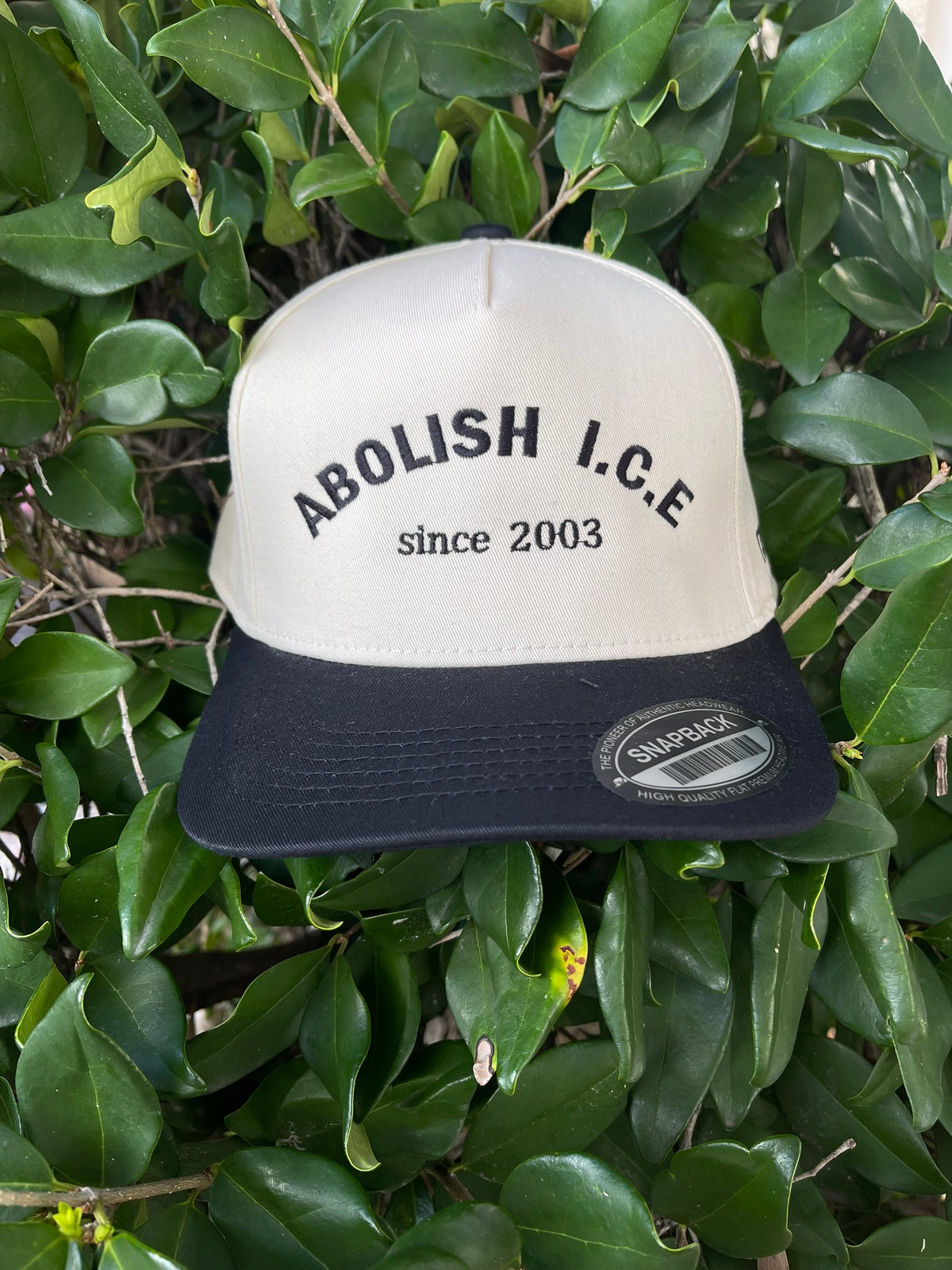 Abolish ICE 2003