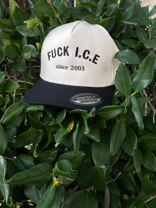 F**K ICE 2003