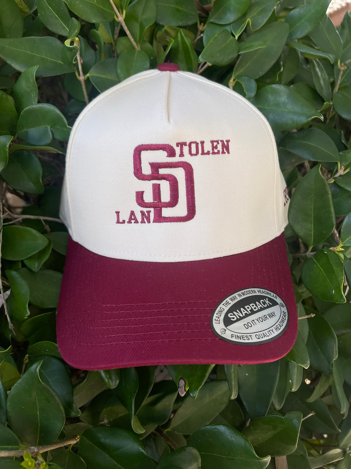 Stolen Land Black SnapBack