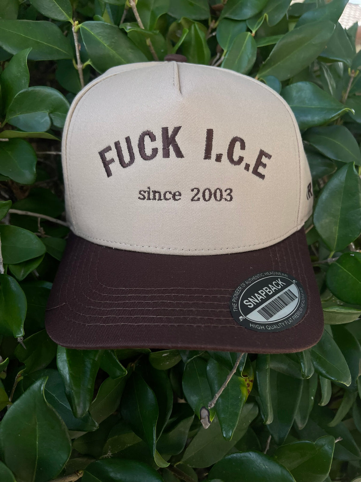 F**K ICE 2003
