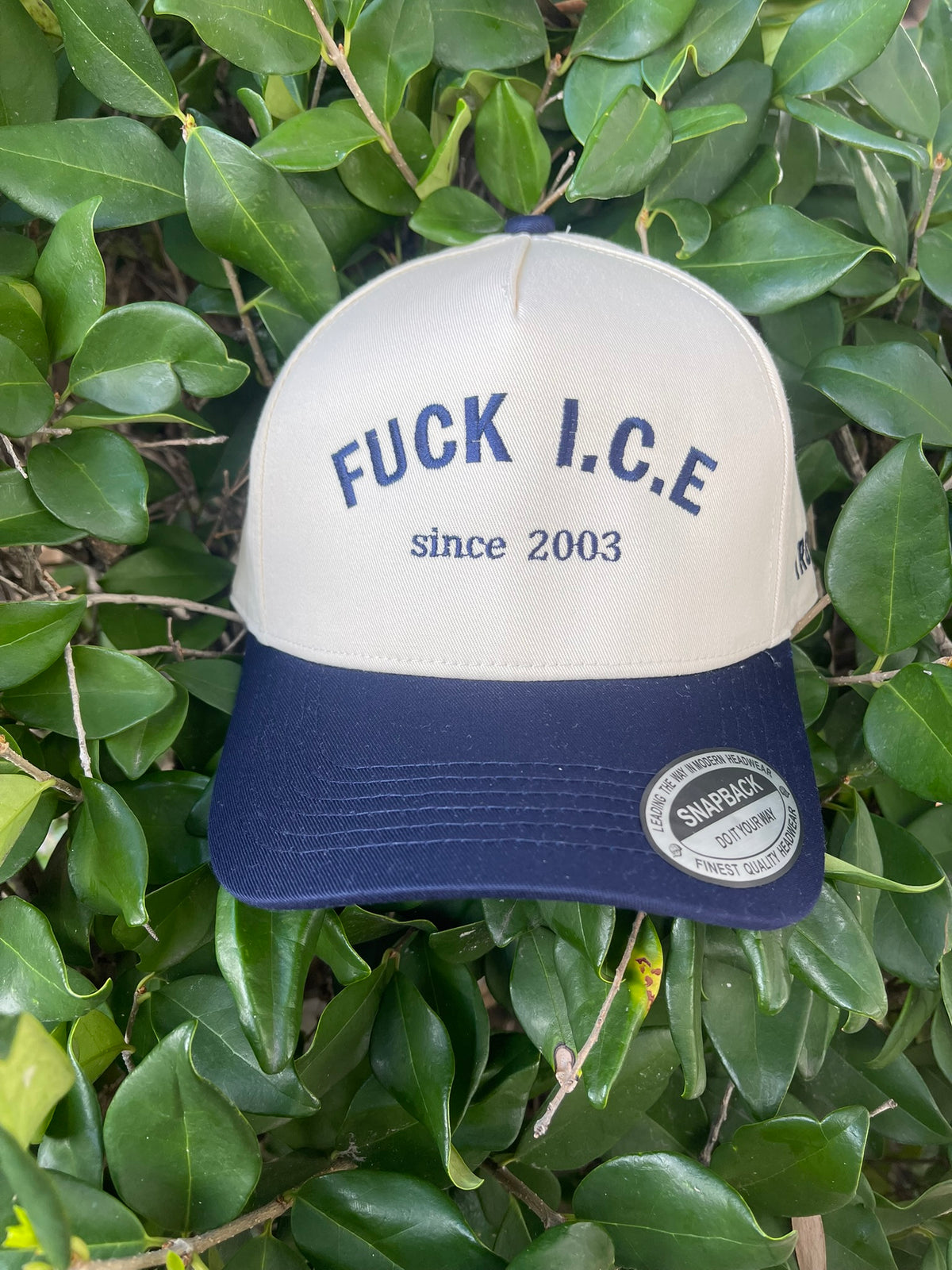 F**K ICE 2003