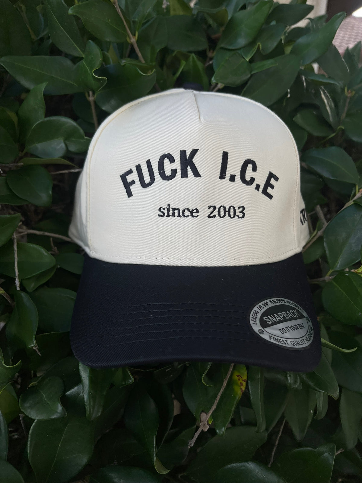 F**K ICE 2003