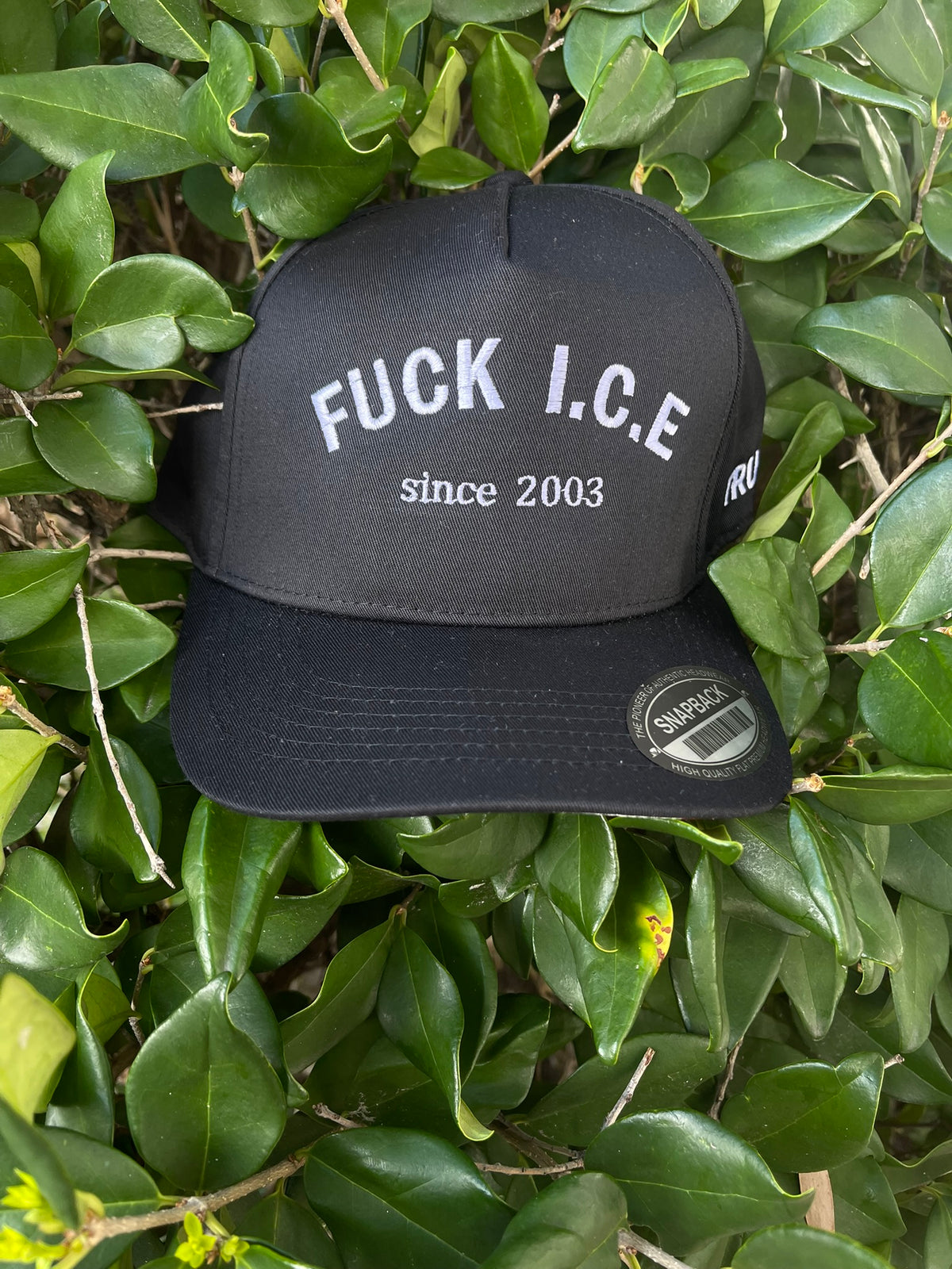 F**K ICE 2003