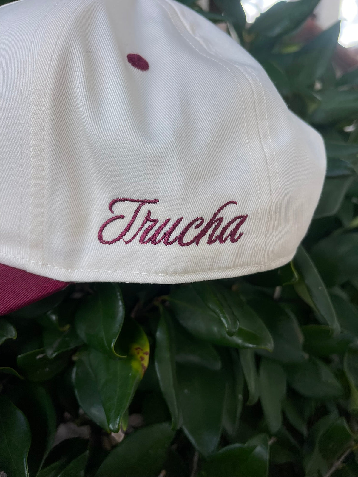 Chinga La Migra SnapBack