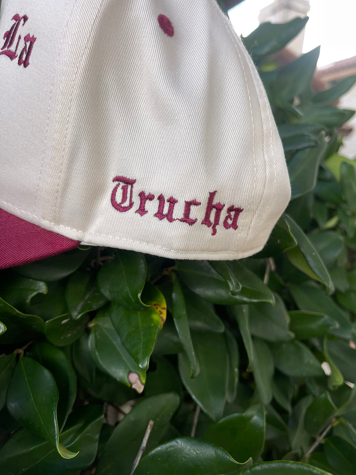 Chinga La Migra SnapBack