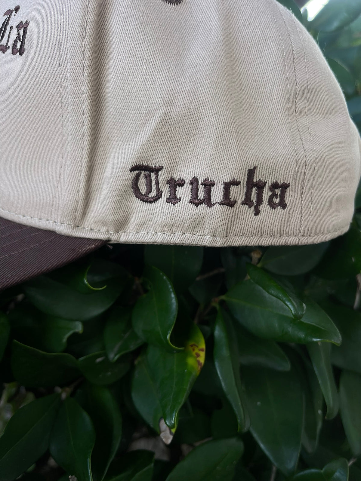 Chinga La Migra SnapBack