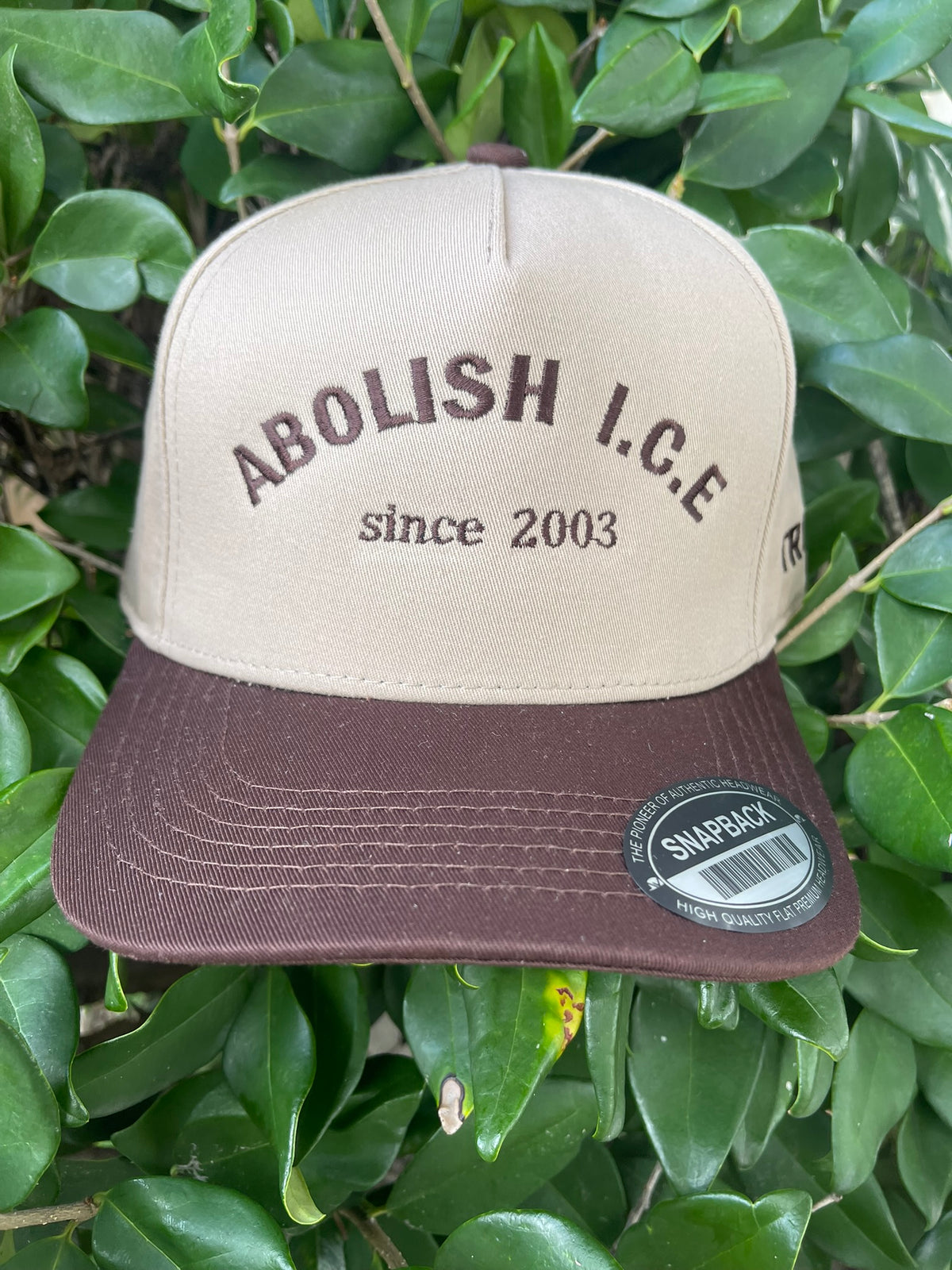 Abolish ICE 2003