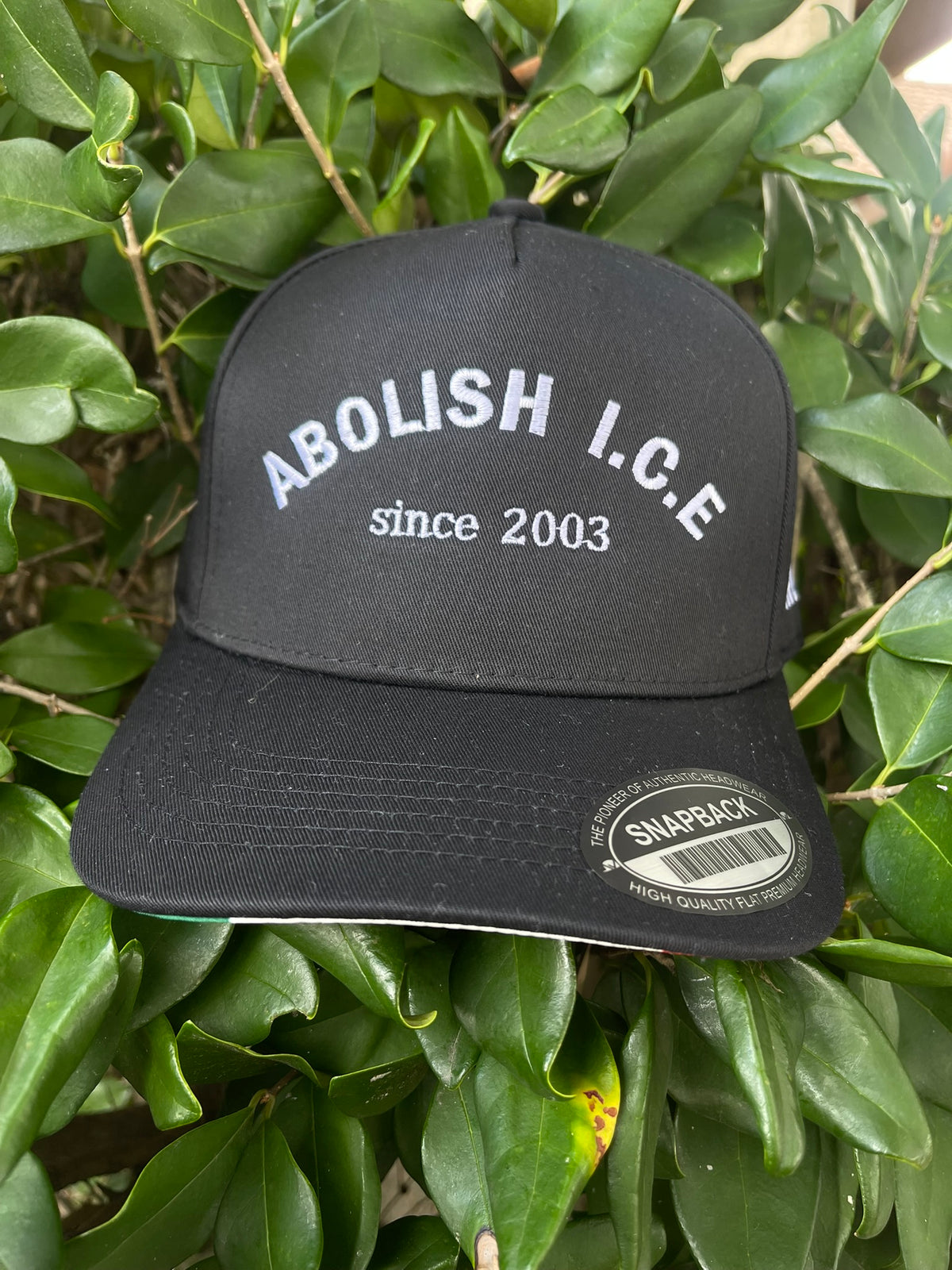 Abolish ICE 2003
