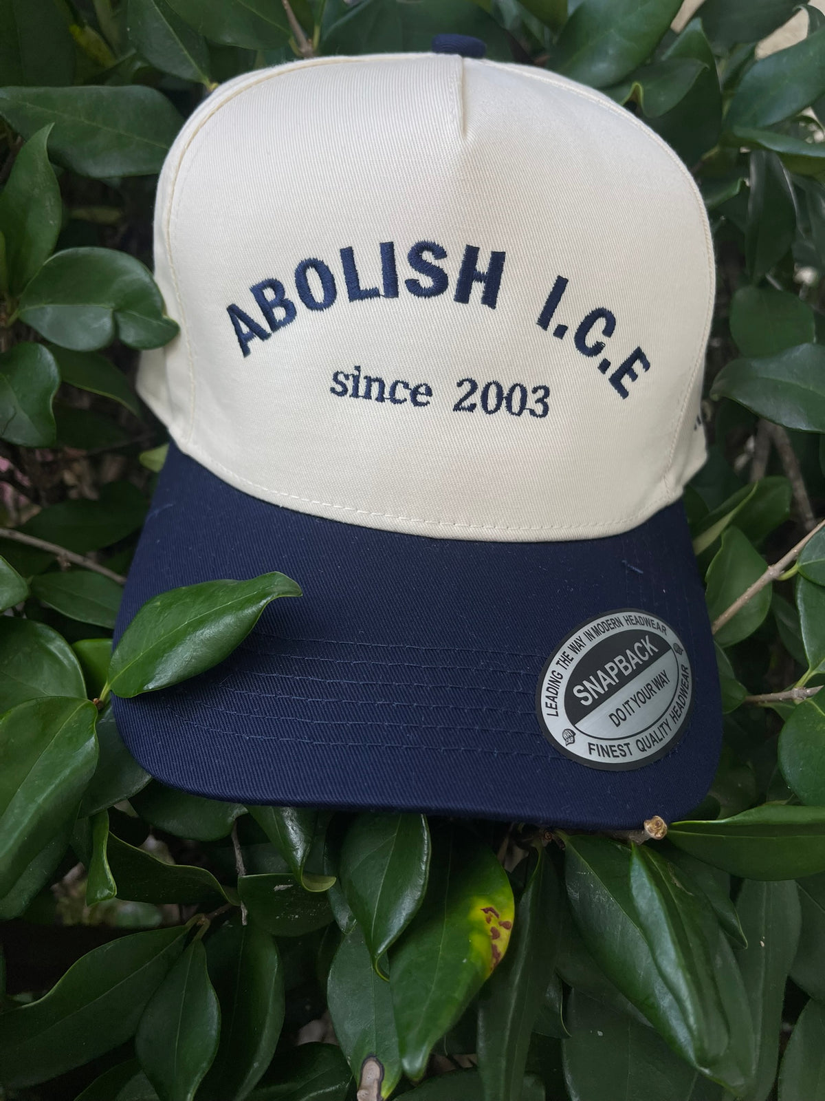 Abolish ICE 2003